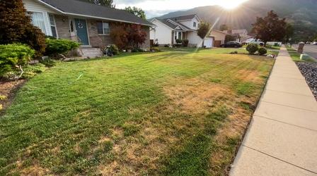 Video thumbnail: Modern Gardener How to Save Water During the Drought