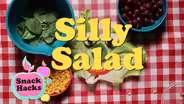 Silly Salad