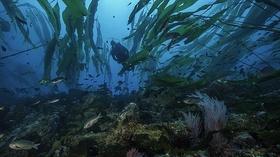 Video thumbnail: KPBS Evening Edition Tuesday, September 10, 2019