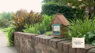 Tell Me a Story in Food - Herb Garden