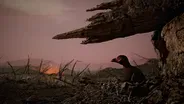 How Birds Survived the Dinosaur Apocalypse