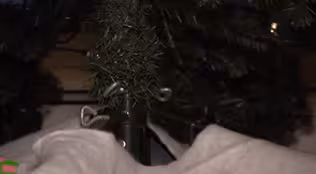 HAZARDS OF THE SEASON