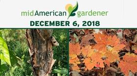 Video thumbnail: Mid-American Gardener December 6, 2018 - Mid-American Gardener