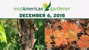 December 6, 2018 - Mid-American Gardener