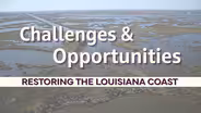 Restoring The Louisiana Coast