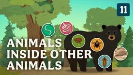 Parasites: asset-mezzanine-16x9