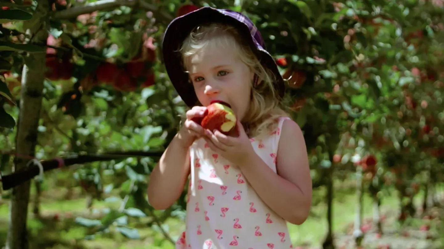 Monster Foodies Truck: Apples