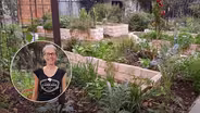Permaculture Design: Raised Beds and Food Forest