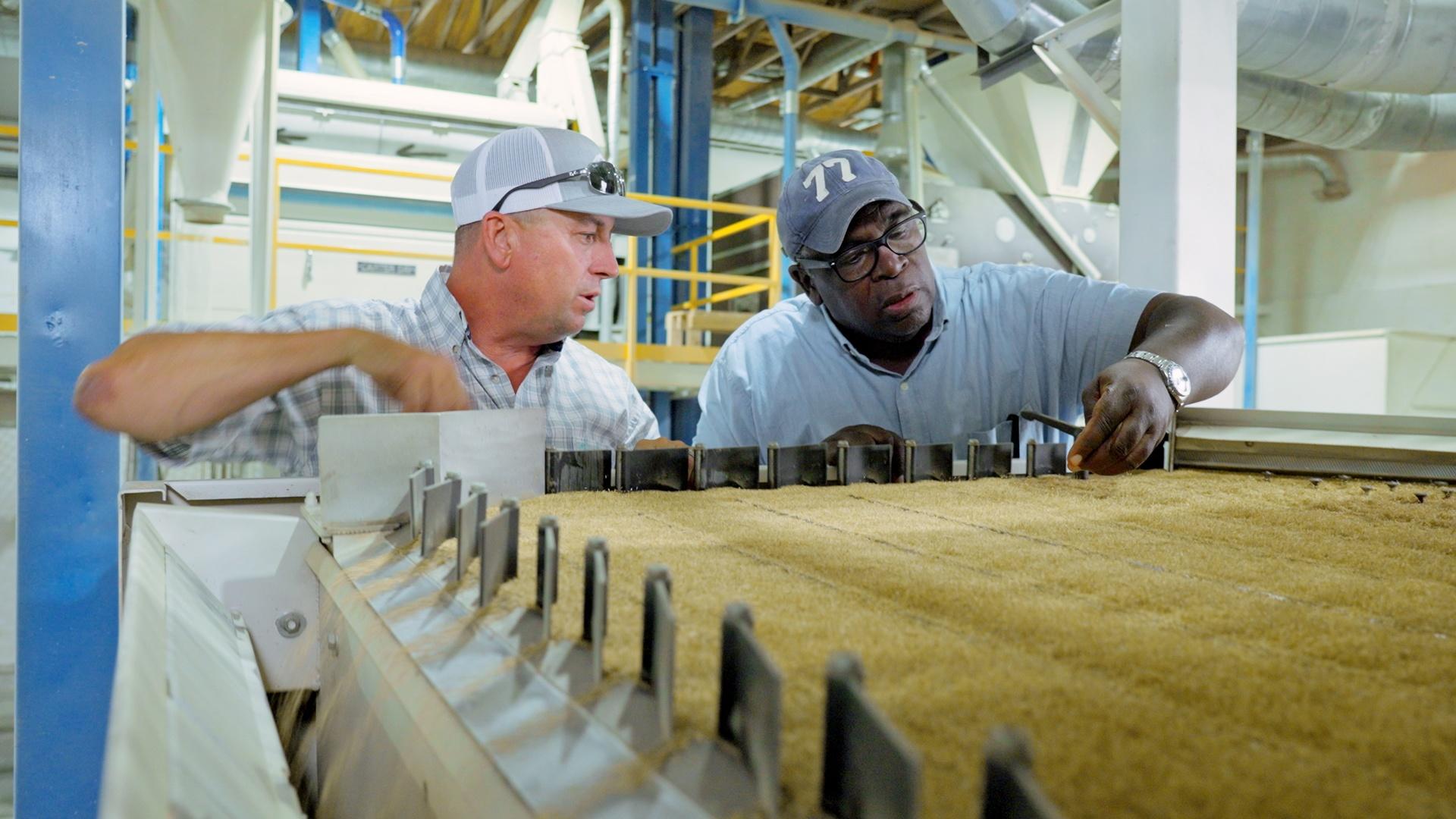 How turf grass seed is harvested and cleaned; how to install a porch swing.