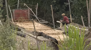 Peru looks for reforms after mining decimates the Amazon