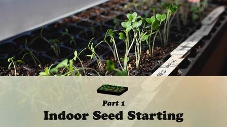 Video thumbnail: Let's Grow Stuff Indoor Seed Starting Part One