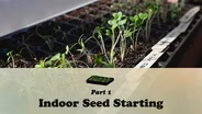 Indoor Seed Starting Part One