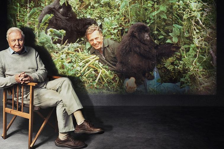 Life on Earth: Attenborough’s Greatest Adventure Poster