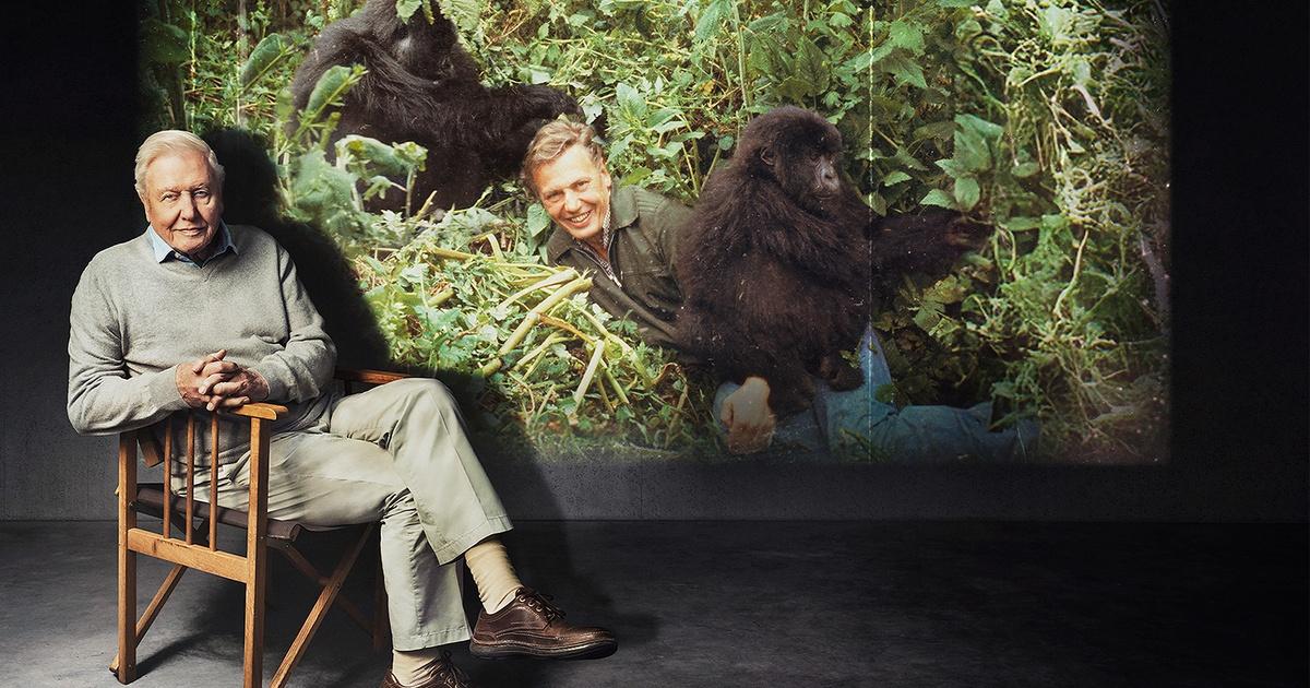 Life on Earth: Attenborough’s Greatest Adventure