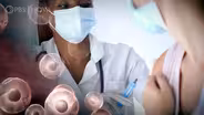 Vaccine Ingredient Misconceptions, Debunked