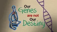 Our Genes are Not Our Destiny