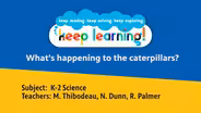 Primary Science #2: What's happening to the caterpillars?