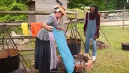 Plant Based Dyes
