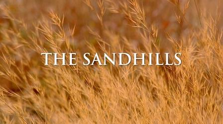 Video thumbnail: Georgia Outdoors The Sandhills