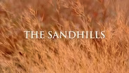 The Sandhills