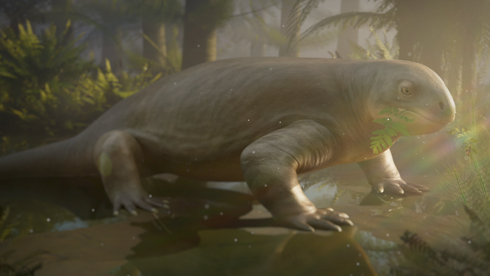 The first herbivorous vertebrates evolve on the side of the amniote family tree leading to mammals.