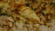 Mansaf (With Chicken)