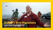 Duluth's Bird Migrations