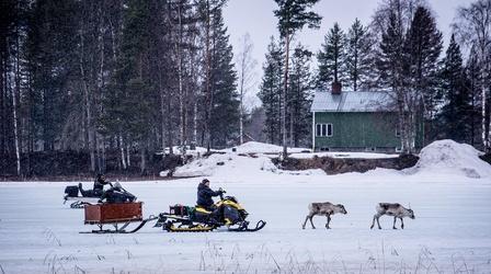 Video thumbnail: Europe's New Wild An Abandoned Baby Reindeer