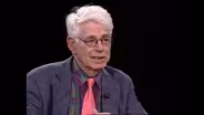 Profile: Wolf Kahn