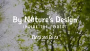 Flora and Fauna