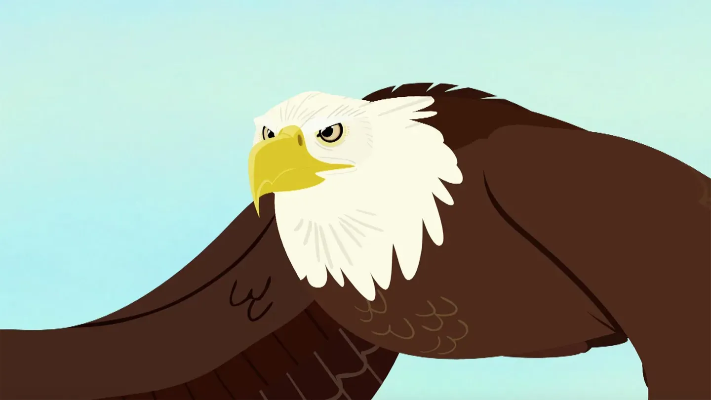 The Fourth Bald Eagle