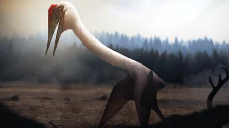 Video thumbnail: Eons When Pterosaurs Walked