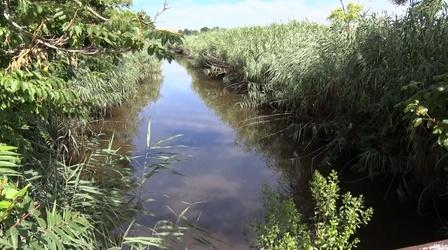 Is this Meadowlands Superfund site ready for redevelopment?