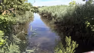 Is this Meadowlands Superfund site ready for redevelopment?