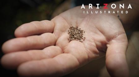 Video thumbnail: Arizona Illustrated Restoring the Flora, Pia Camil, Osiris-REx - Touch and Go