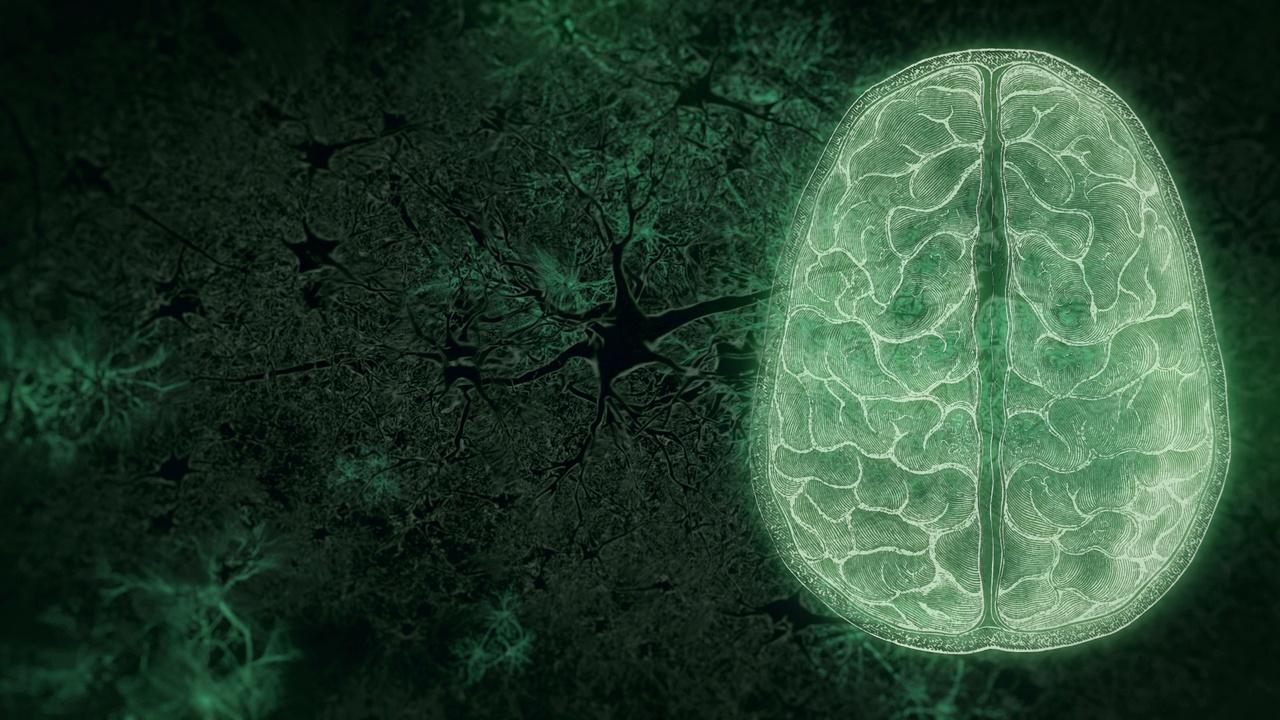 NOVA | Your Brain: Who's in Control?