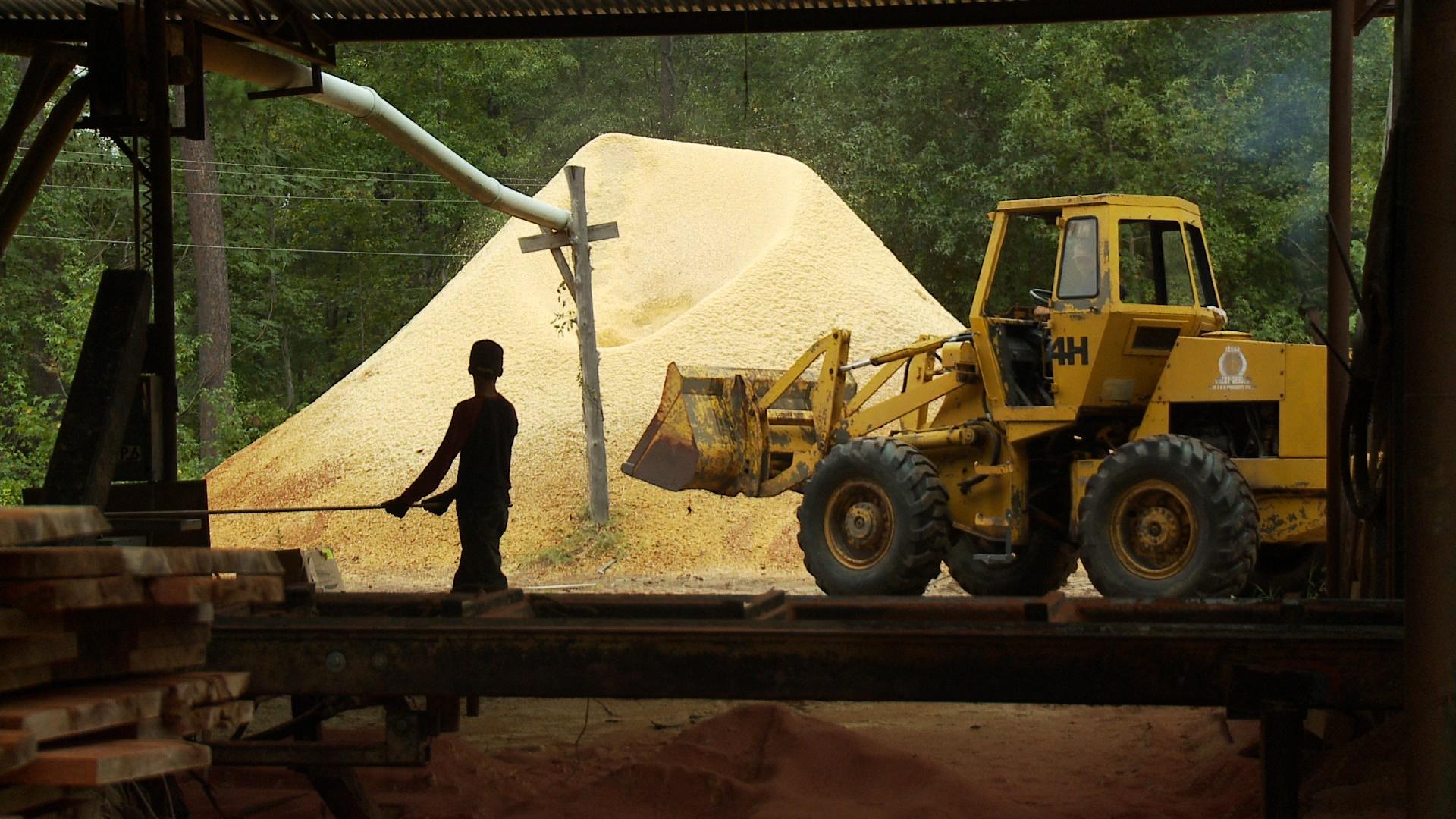 Amazing Fastest Large Wood Sawmill Machines Working - Wood Cutting Machine  Modern Technology #2 