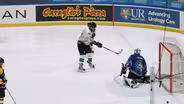 Ice Cats