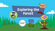 Exploring the Forest