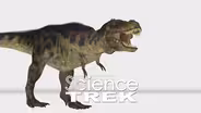 Dinosaurs: Eating and Eggs