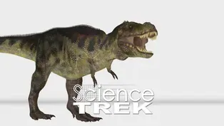 Dinosaurs: Eating and Eggs