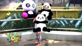 Video thumbnail: The Friday Zone All About Animals