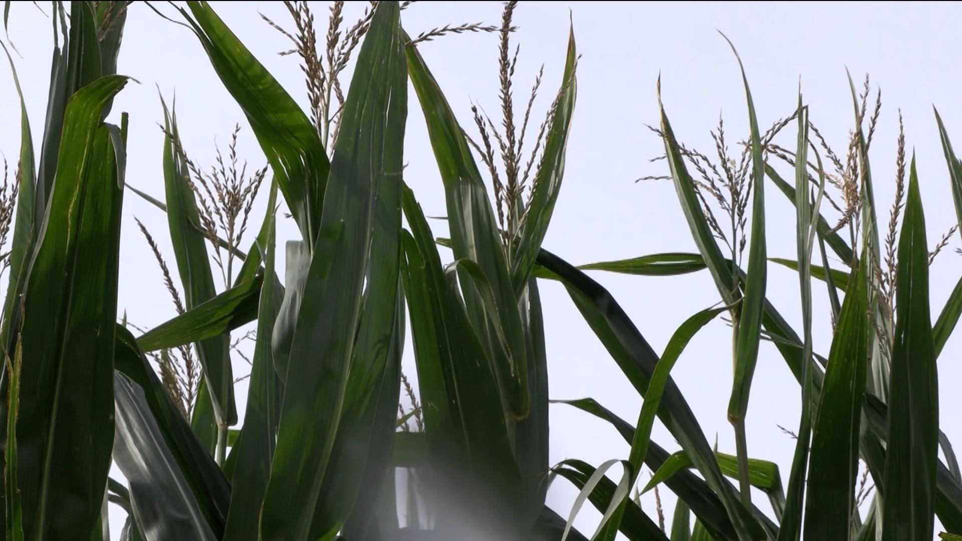 Lawmakers Get Health Report on the State