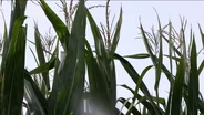 Lawmakers Get Health Report on the State