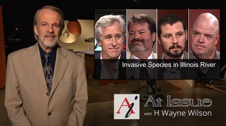 Video thumbnail: At Issue S31 E14: Invasive Species in Illinois River