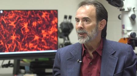 Video thumbnail: The University of North Carolina: A Multi-Campus University 2017 O. MAX Award: Ben Bahr, Ph.D.