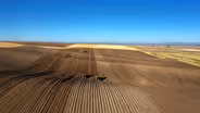 Spud Country