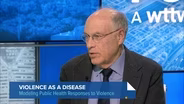 New Book Diagnoses Violence as an Epidemic