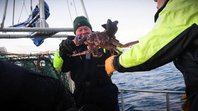 People of the North | Austevoll / Barentshavet: Snow Crab in Arctic Waters