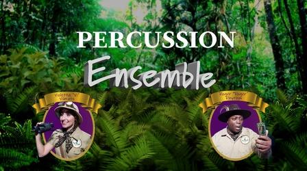 Video thumbnail: TSO Symphonic Safari Adventure! Meet the Percussion Ensemble!